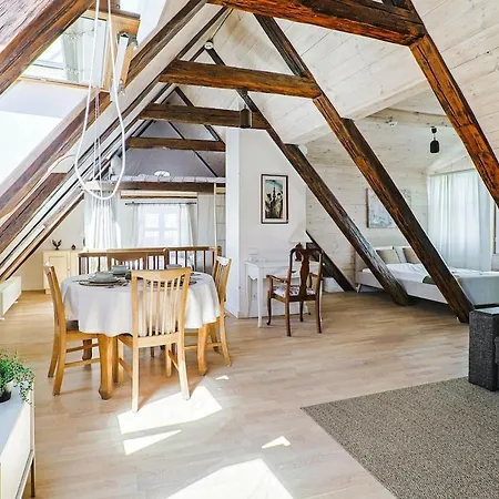 Old Town Secret Terrace Loft * Riga